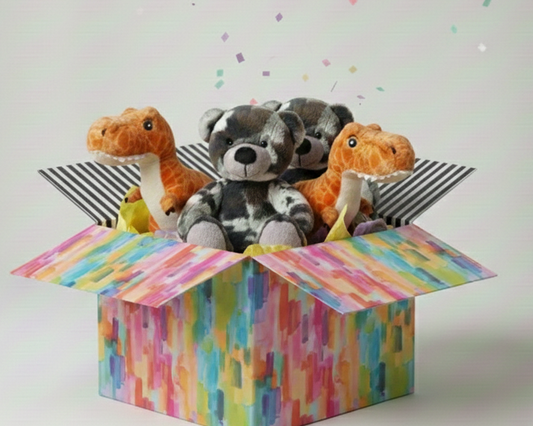 Boys Party Pack (4)